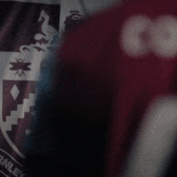 Premier League Flag GIF by Burnley Football Club