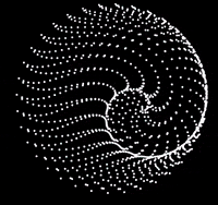 Animation Edm GIF by The3Flamingos