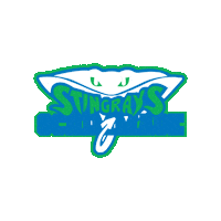 Cheer Rays Sticker by The Stingray Allstars