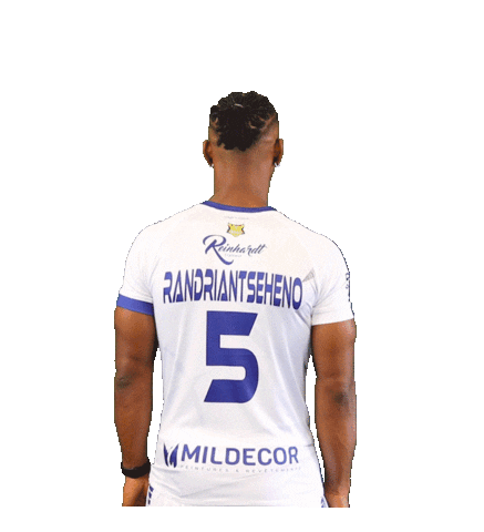 SarrebourgHandball handball proligue sarrebourg smshb Sticker