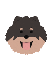 Love You Pomeranian Sticker