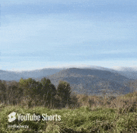 Run Running GIF by HRejterzy
