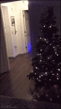 Christmas Santa GIF