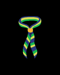 Castelldefels GIF by Escoltes Catalans