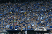 kc GIF by MLB