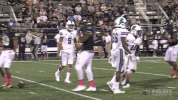 football athletics GIF by GreenWave