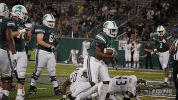 football athletics GIF by GreenWave