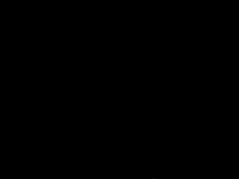 brockzevan giphygifmaker brockzevan brockzevanwin bzwin GIF