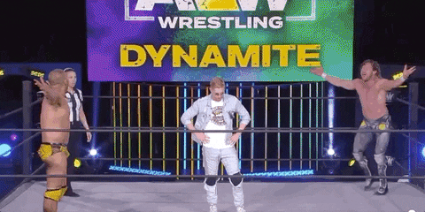 Best Friends Aew On Tnt GIF by All Elite Wrestling on TNT