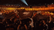 Flag Hype GIF by G2 Esports