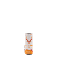 Energy Drinks Sticker by Big Game Energy