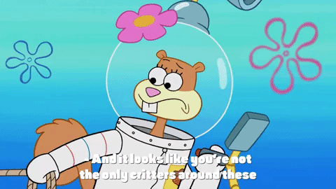 episode 1 whirly brains GIF by SpongeBob SquarePants