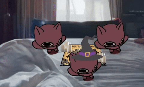Magic Cat Ouija GIF
