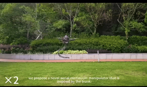 whatphilosophise giphyupload GIF