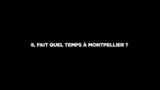 Il Fait Quel Temps À Montpellier GIF by Ville de Montpellier