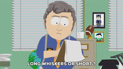 beard question GIF by South Park 