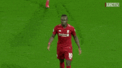 Premier League Hug GIF by Liverpool FC