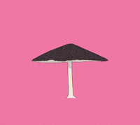 mushroom tripping GIF by Toby Garrow