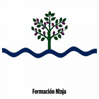 Flag Spain GIF by Formación Ninja