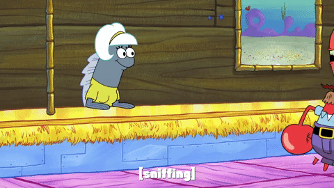 season 9 safe deposit krabs GIF by SpongeBob SquarePants