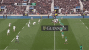 GIF by Guinness Six Nations