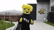 Wu_Shock dance wsu wu wushock GIF