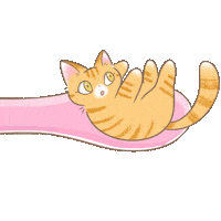 Cat Food Cats Sticker