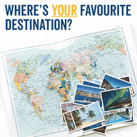 haystravel  GIF