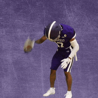 Football Wesleyan GIF by KWC Panthers