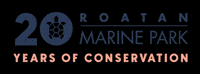 Anniversary GIF by Roatan Marine Park