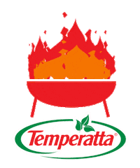 temperatta barbecue churrasco fogo sal Sticker