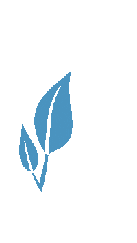 naturafit naturafit Sticker