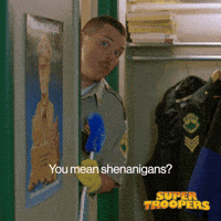 Super Troopers Shenanigans GIF by Searchlight Pictures