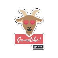 Amour Love Sticker by RAGT Semences FRANCE