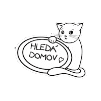 Fousky cat animal shelter domov kocicka Sticker