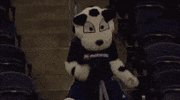 Happy Turn Up GIF by Major League Soccer