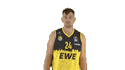 Ewe Baskets Basketball Sticker by EWE Baskets Oldenburg