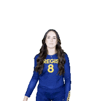 RegisVolleyball volleyball halle regis theis Sticker