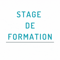 Animation Cinema GIF by Maison du Film