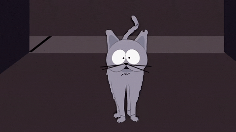 scared cat GIF by South Park 
