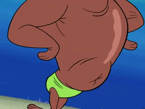 season 6 GIF by SpongeBob SquarePants