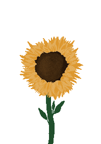 Summer Blooming Sticker