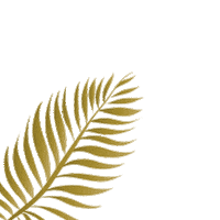 Planta Linhas Sticker
