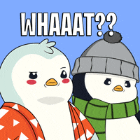 Excuse Me What GIF by Pudgy Penguins