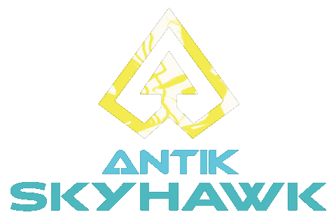 Rollerskating Sticker by Antik Skates
