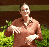 Asl Discover GIF