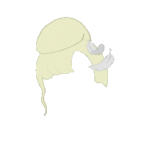 Drag Tierra Sticker