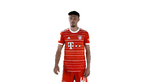 Come Here Sticker by FC Bayern Munich