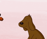 Episode 19 GIF by CBS All Access