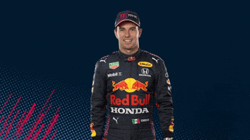 Red Bull Sport GIF by Red Bull Racing Honda